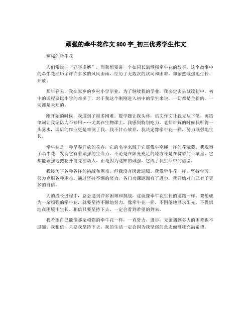 顽强的牵牛花作文800字_初三优秀学生作文