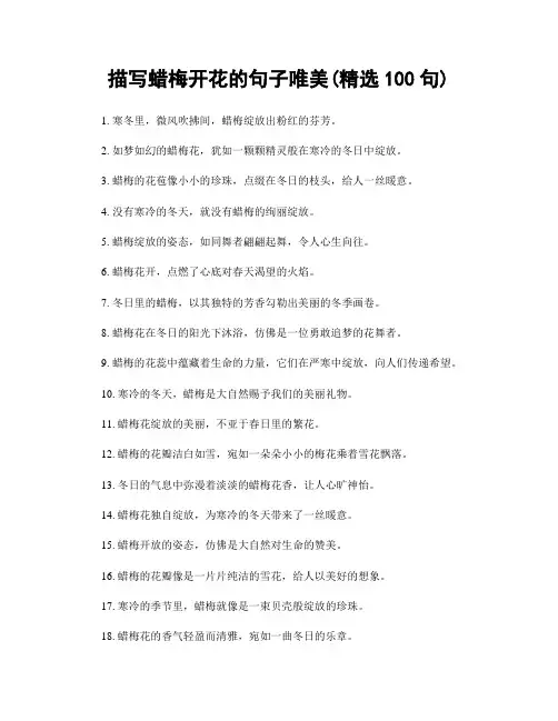 描写蜡梅开花的句子唯美(精选100句)