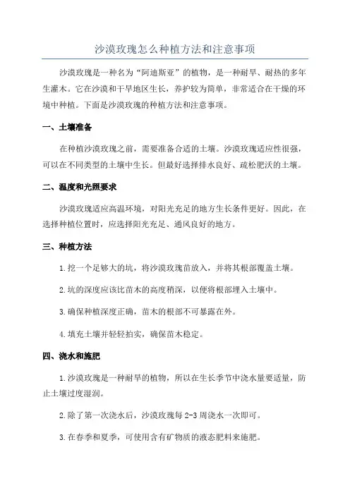 沙漠玫瑰怎么种植方法和注意事项