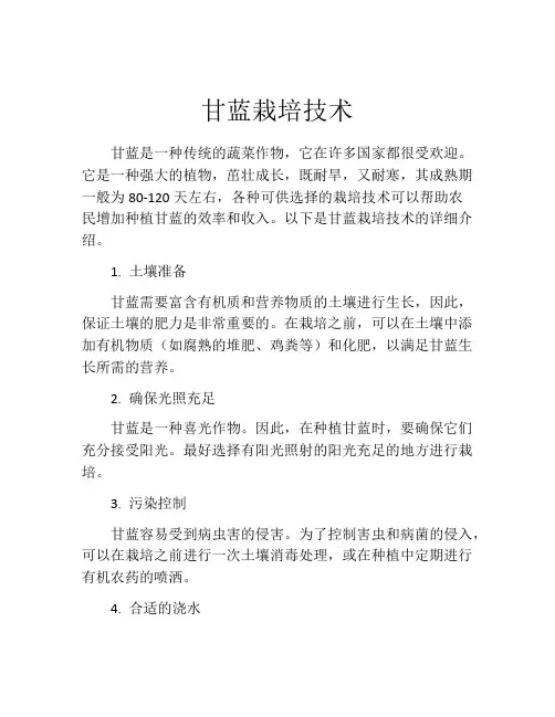 甘蓝栽培技术