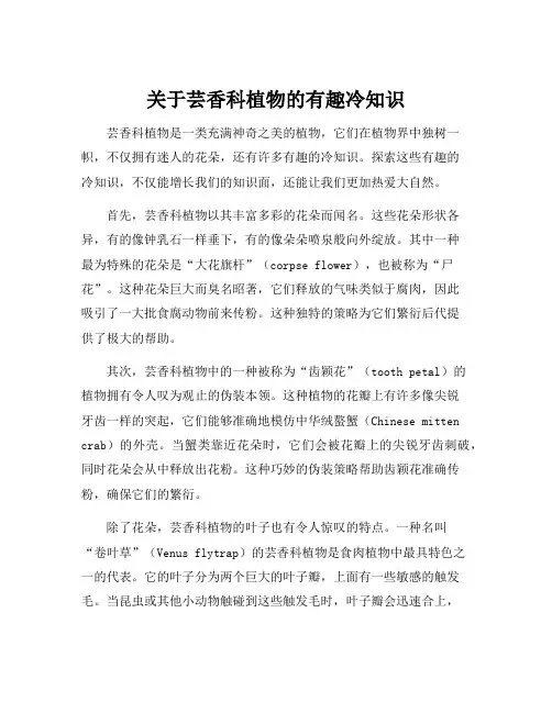 关于芸香科植物的有趣冷知识