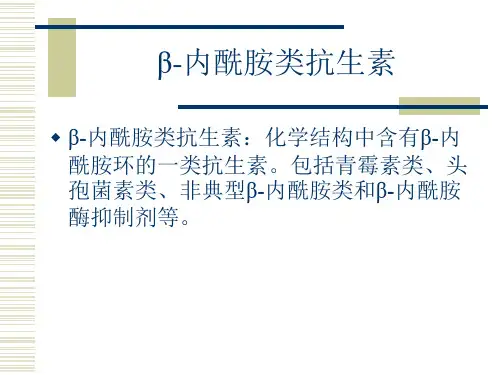 β-内酰胺类抗生素