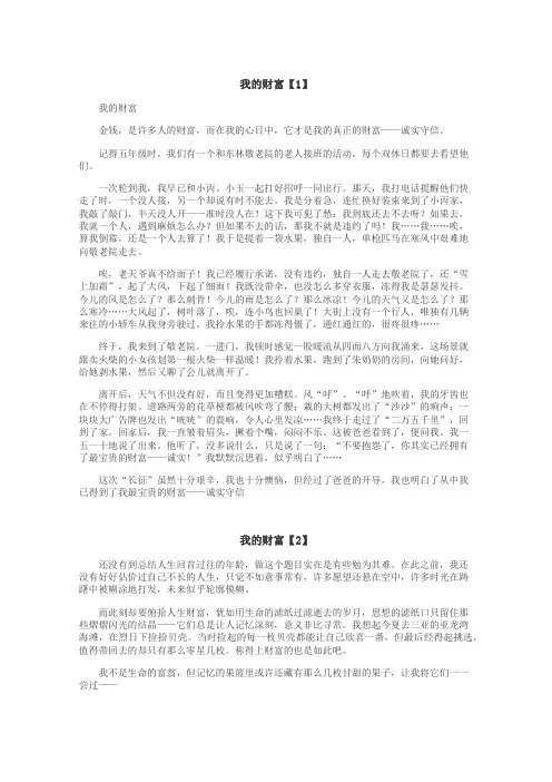 我的财富作文

