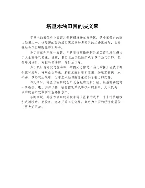 塔里木油田目的层文章