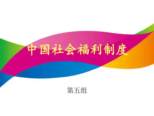 中国社会福利制度 ppt课件