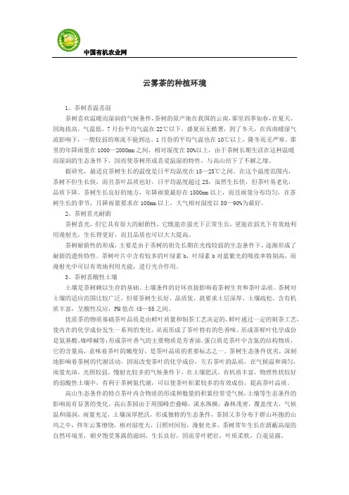 云雾茶的种植环境