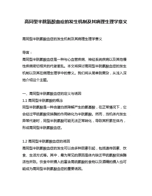 高同型半胱氨酸血症的发生机制及其病理生理学意义