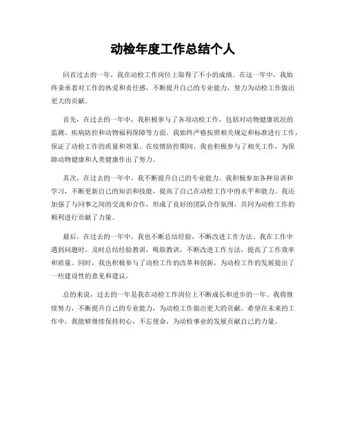 动检年度工作总结个人