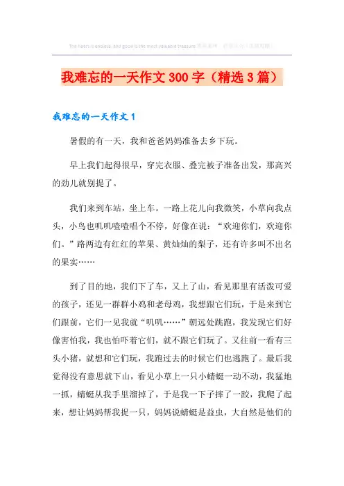 我难忘的一天作文300字(精选3篇)