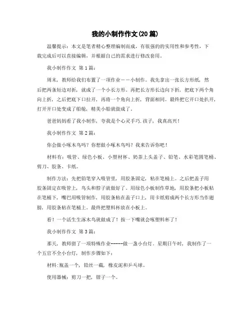 我的小制作作文(20篇)精选范文