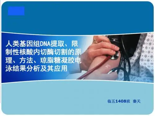 人类基因组DNA提取