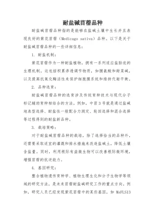 耐盐碱苜蓿品种