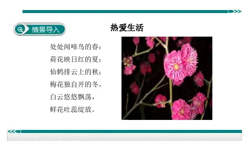 写作指导：热爱生活课件