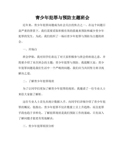 青少年犯罪与预防主题班会