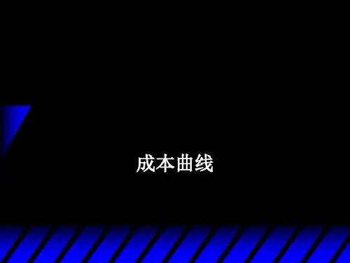 微观经济学课件：成本曲线