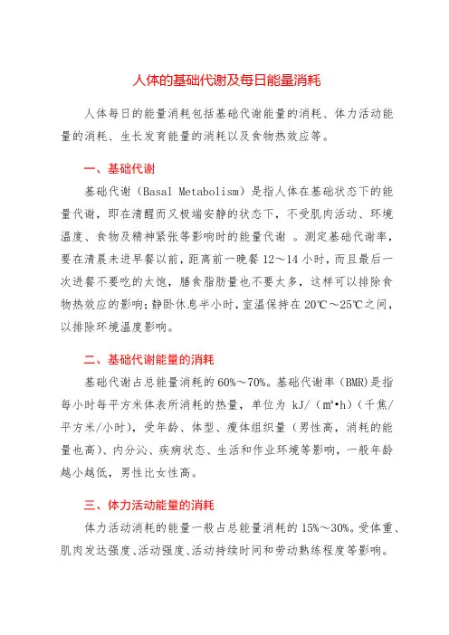 人体的基础代谢及每日能量消耗
