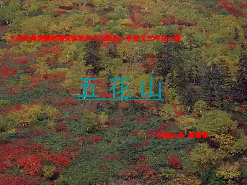 五花山ppt课件小学语文人教版三年级上册
