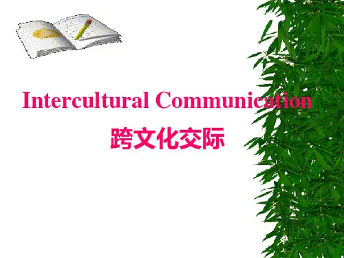 跨文化交际(四)解析