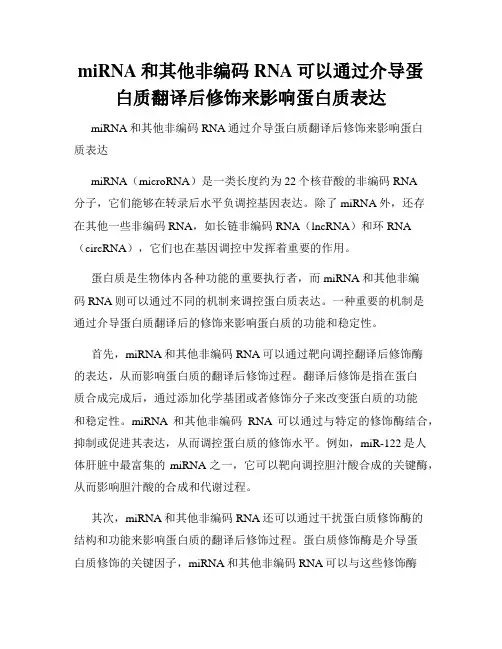 miRNA和其他非编码RNA可以通过介导蛋白质翻译后修饰来影响蛋白质表达