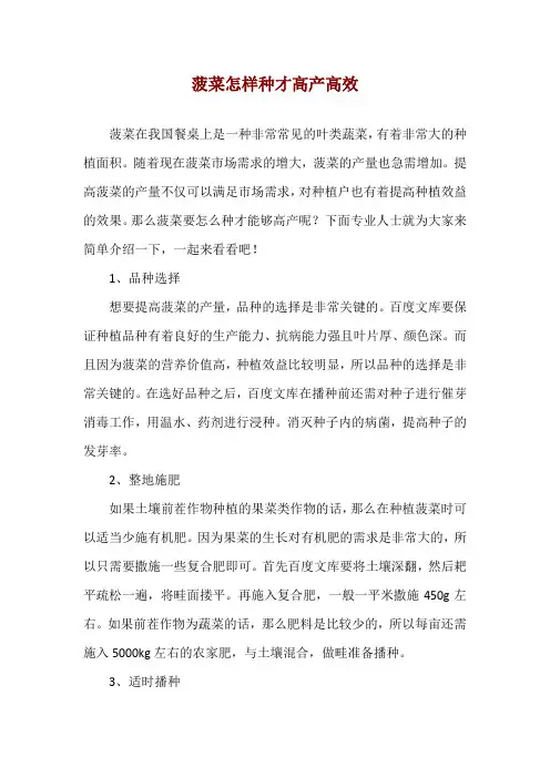 菠菜怎样种才高产高效