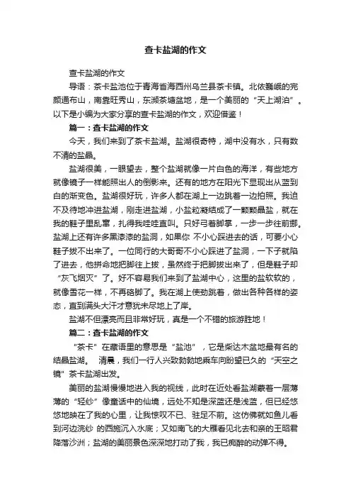 查卡盐湖的作文