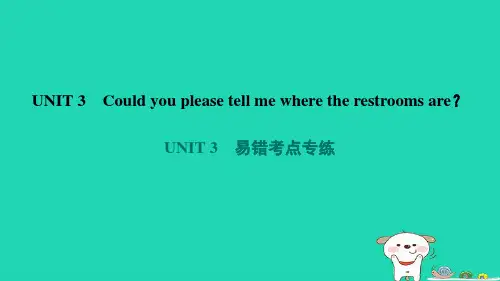 九年级全册Unit3易错考点专练新版人教新目标版