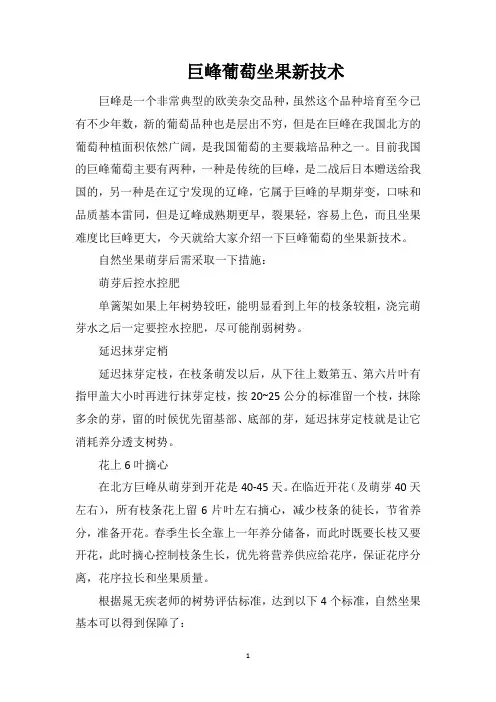巨峰葡萄坐果新技术