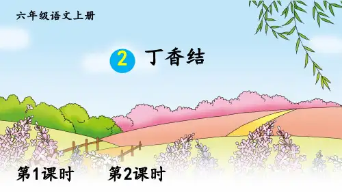 《丁香结》ppt课件