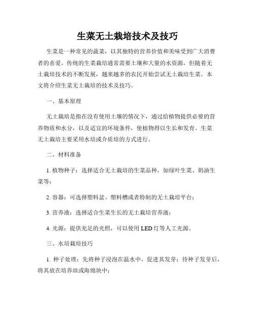 生菜无土栽培技术及技巧