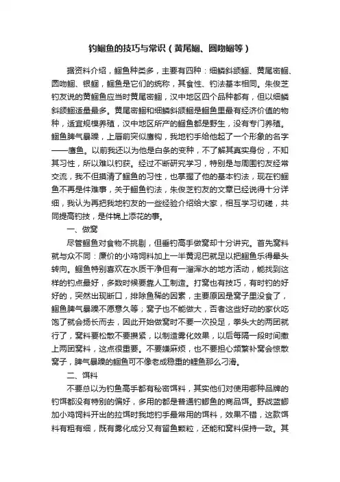 钓鲴鱼的技巧与常识（黄尾鲴、圆吻鲴等）