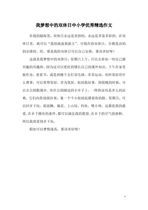 我梦想中的双休日中小学优秀精选作文