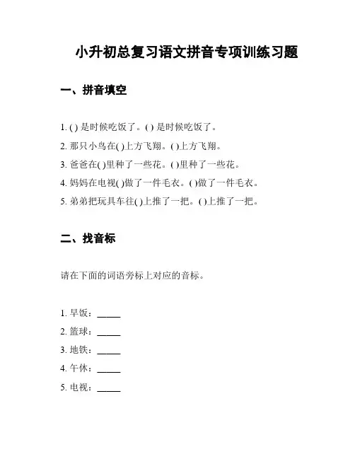 小升初总复习语文拼音专项训练习题