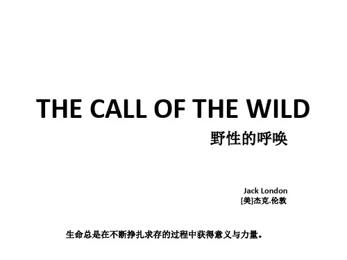 野性的呼唤(故事讲解)