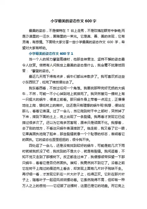 小学最美的姿态作文600字