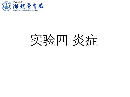 病理学(3.4)--实习四炎症
