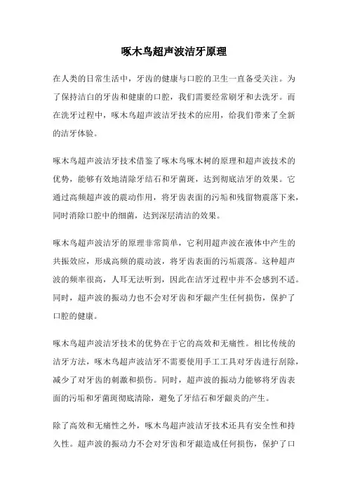 啄木鸟超声波洁牙原理