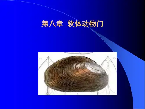软体动物门
