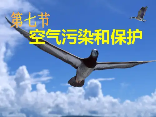 空气污染[下学期]PPT课件(初中科学)