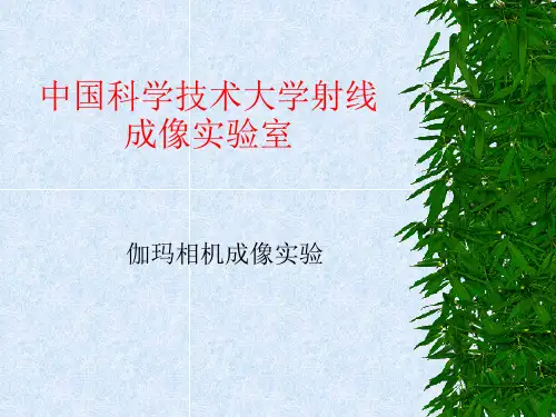 伽玛相机成像
