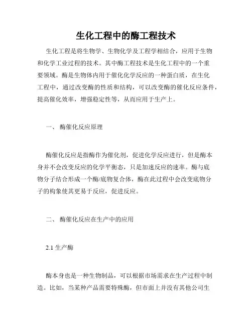 生化工程中的酶工程技术