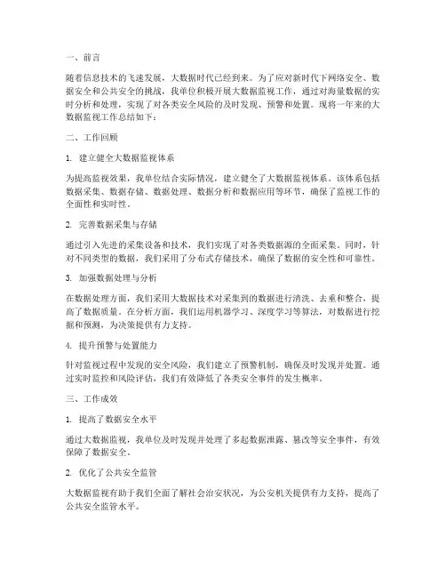 大数据监视工作总结报告