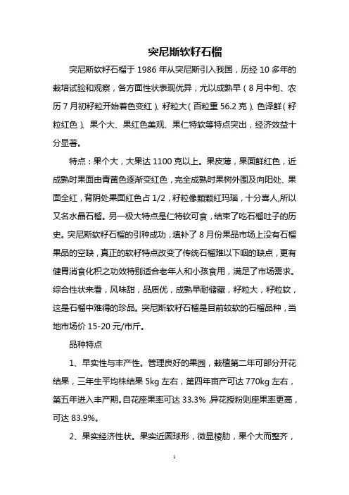 突尼斯软籽石榴