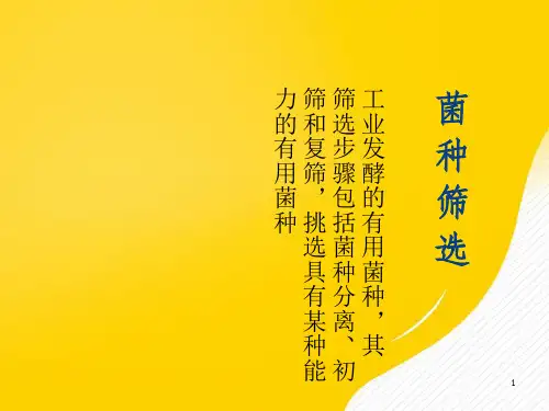 食用菌种植-优秀PPT文档