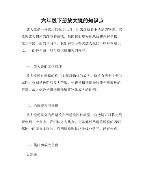 六年级下册放大镜的知识点