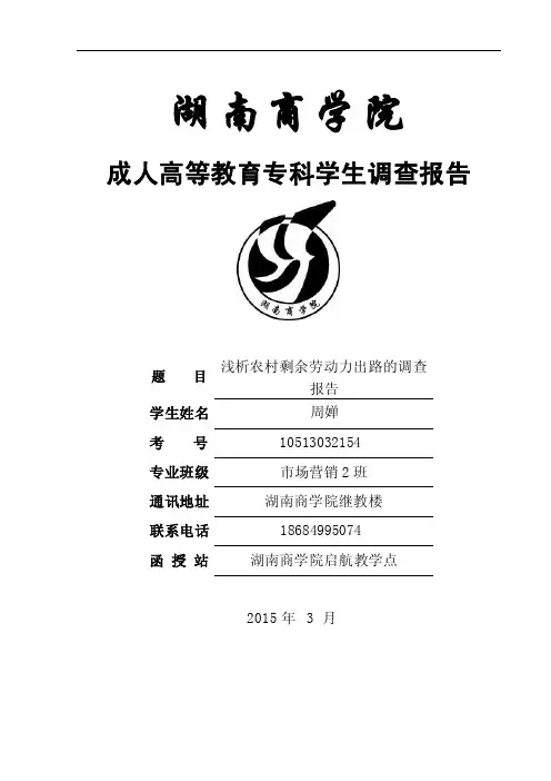 农村剩余劳动力出路调查报告