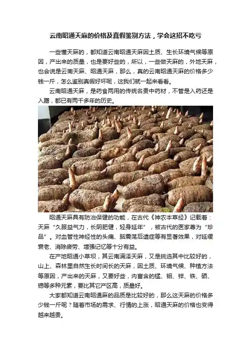 云南昭通天麻的价格及真假鉴别方法，学会这招不吃亏