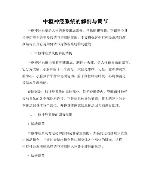 中枢神经系统的解剖与调节