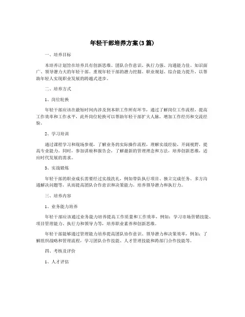 年轻干部培养方案(3篇)
