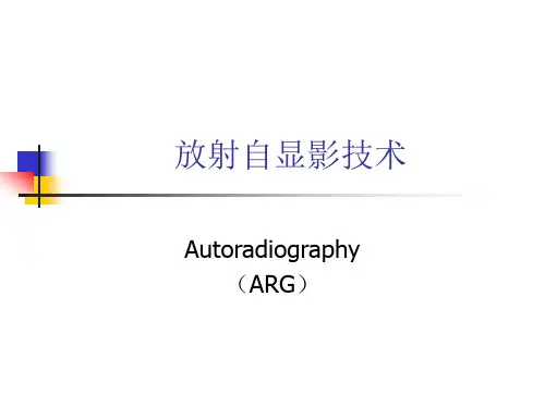 放射自显影技术