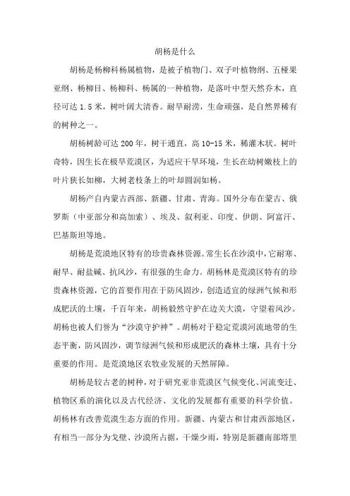 胡杨是什么